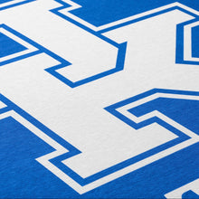 Load image into Gallery viewer, University of Kentucky Rug