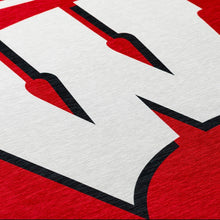 Load image into Gallery viewer, Wisconsin Rug