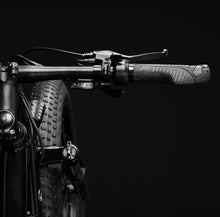 Load image into Gallery viewer, HoneyWell El Capitan X Fat Tire