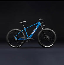 Load image into Gallery viewer, HoneyWell El Capitan X Fat Tire