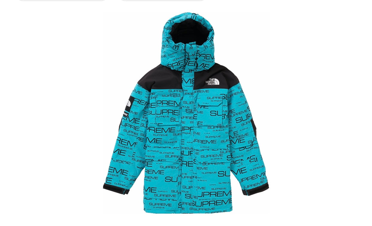 Supreme North face Coldworks 700-Fill Down – OASIS